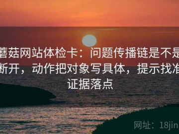 蘑菇网站体检卡：问题传播链是不是断开，动作把对象写具体，提示找准证据落点