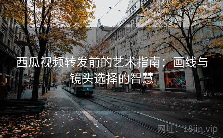 西瓜视频转发前的艺术指南：画线与镜头选择的智慧