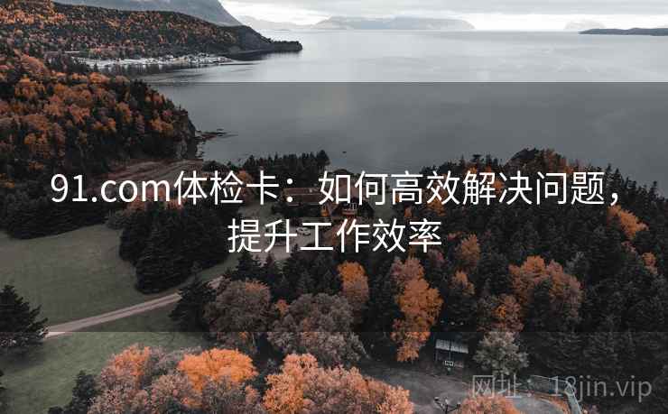 91.com体检卡：如何高效解决问题，提升工作效率